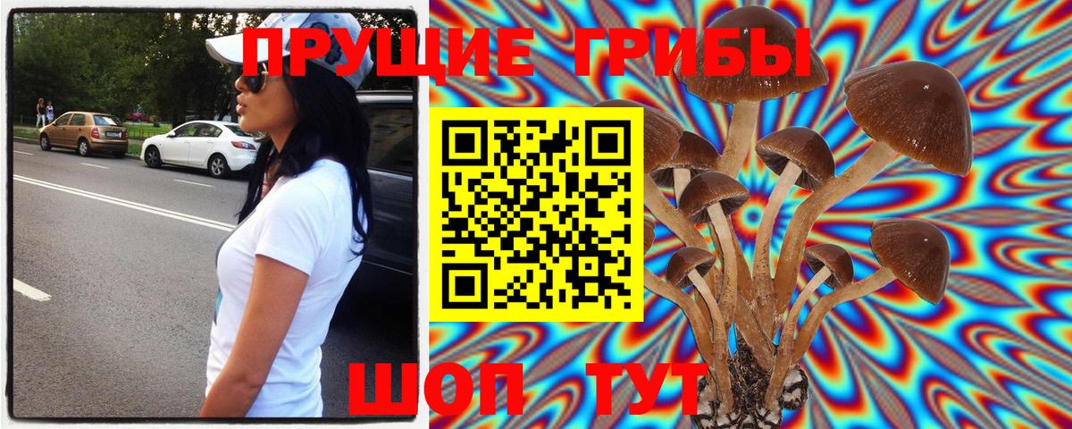 Галлюциногенные грибы GOLDEN TEACHER Изобильный